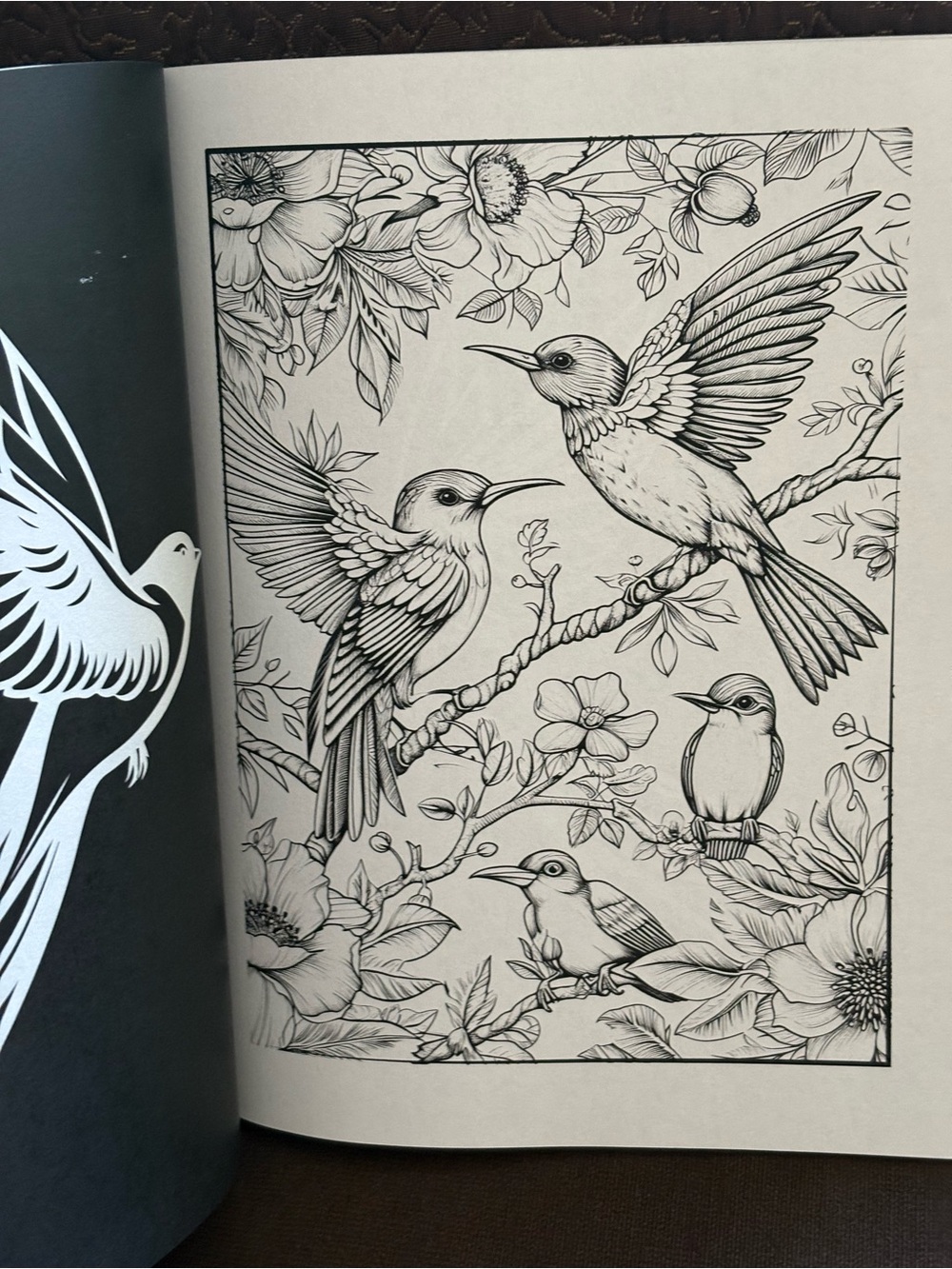 Bird Themed Coloring Book, Journal, and Colored Pencils & Pen - Picture 3 of 7